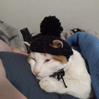 Cute Cat Beanie