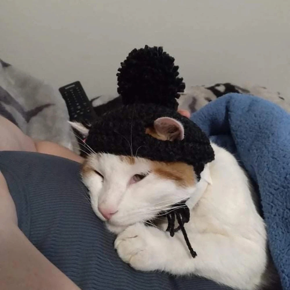 Cute Cat Beanie