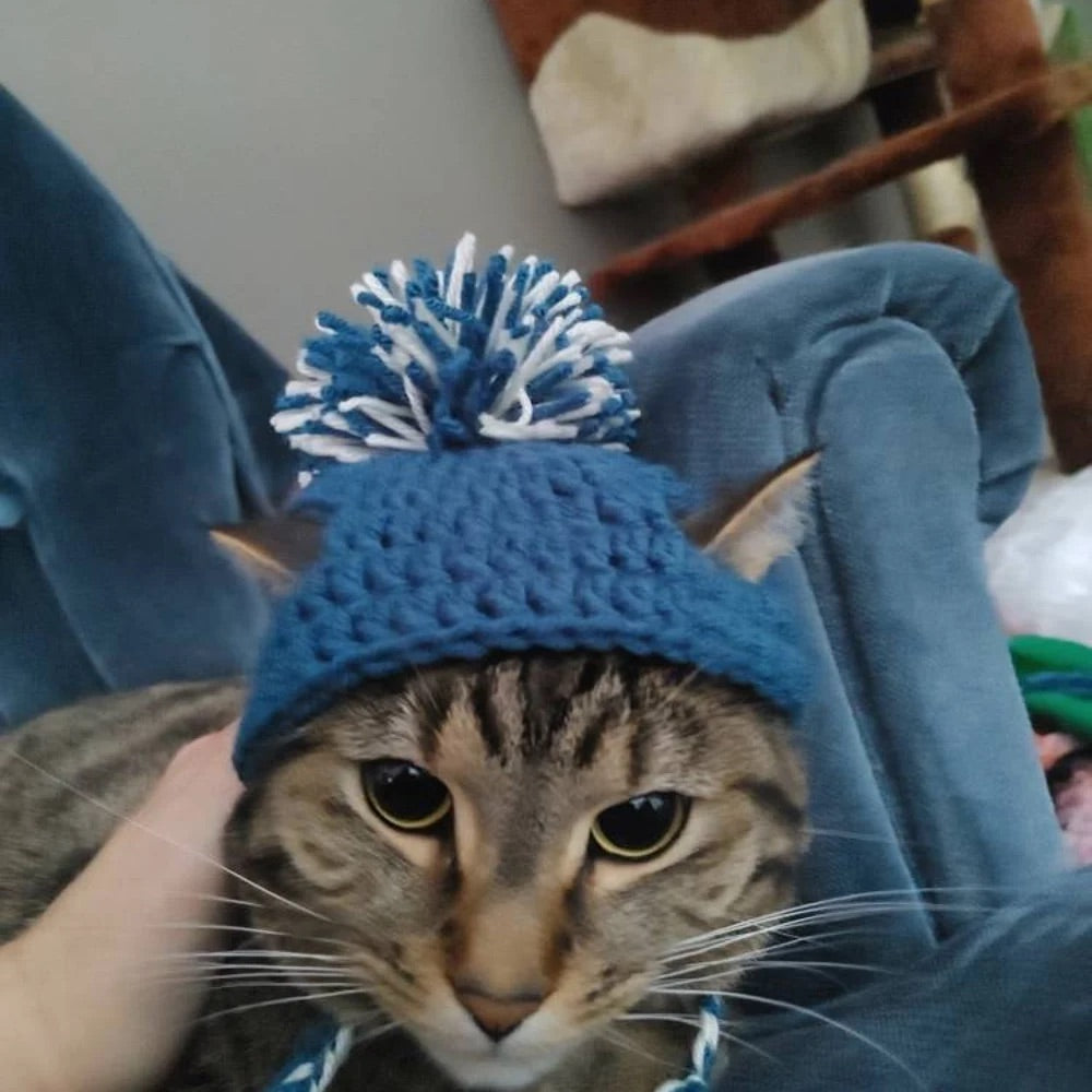 Cute Cat Beanie