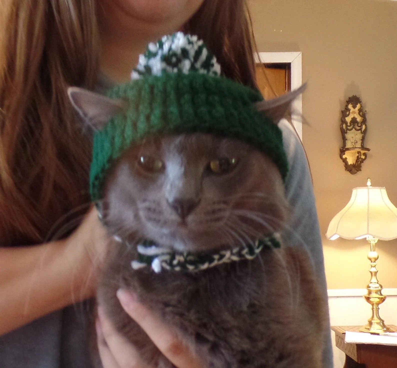 Cute Cat Beanie