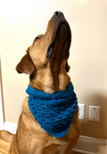 Safety Pet Bandana