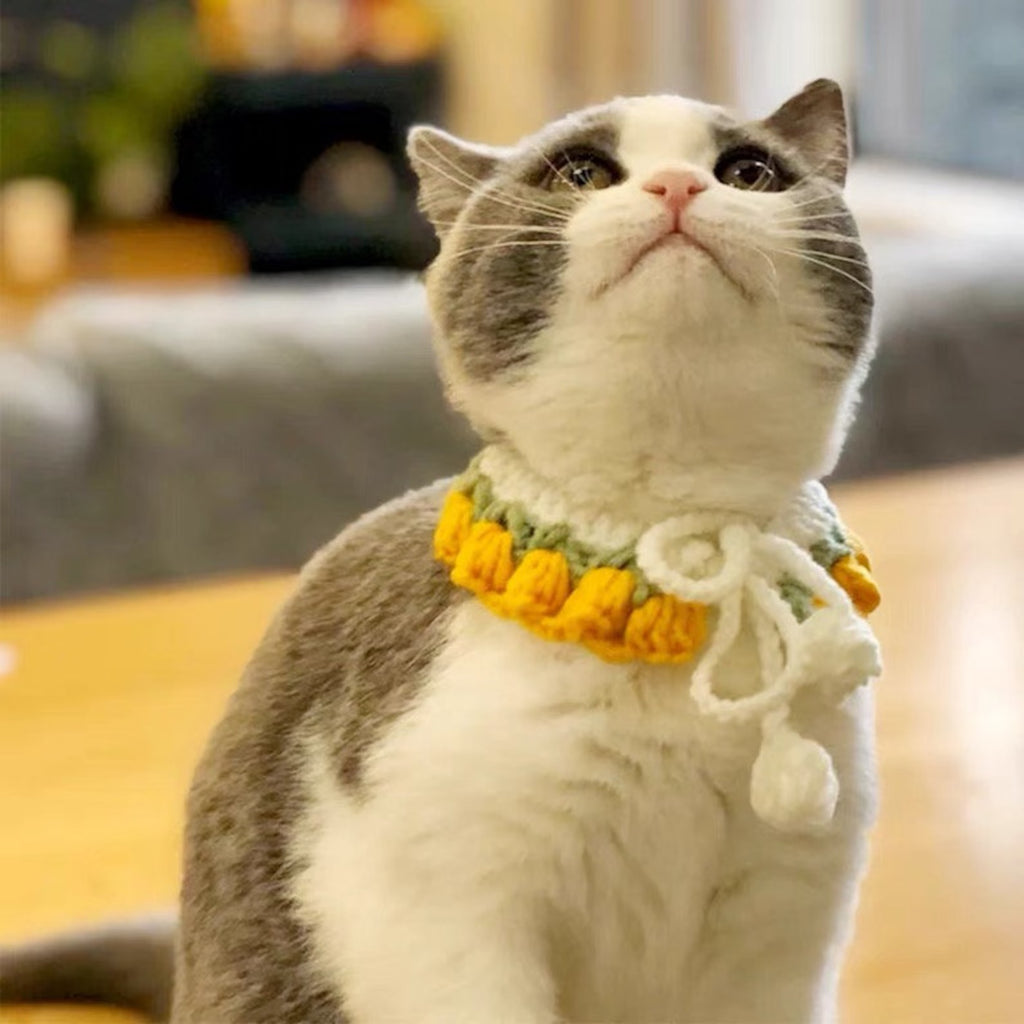 Crochet Cat Collar