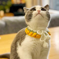 Crochet Cat Collar