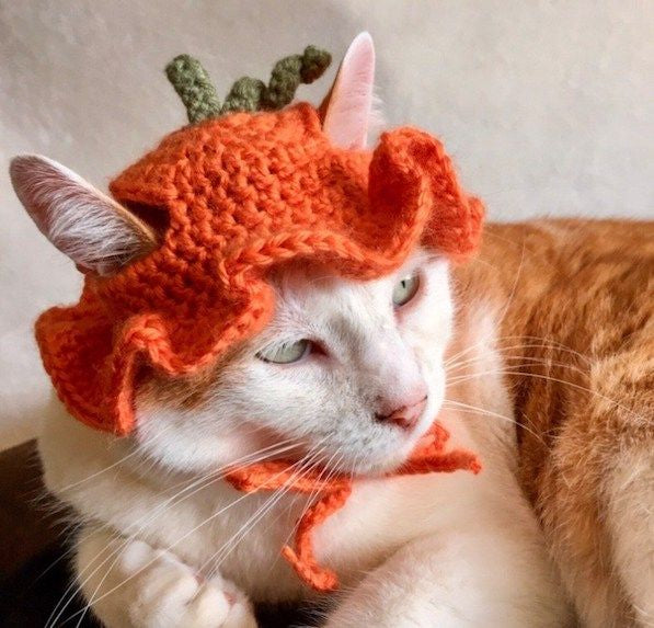 Cute Crochet Cat hat