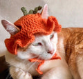 Cute Crochet Cat hat