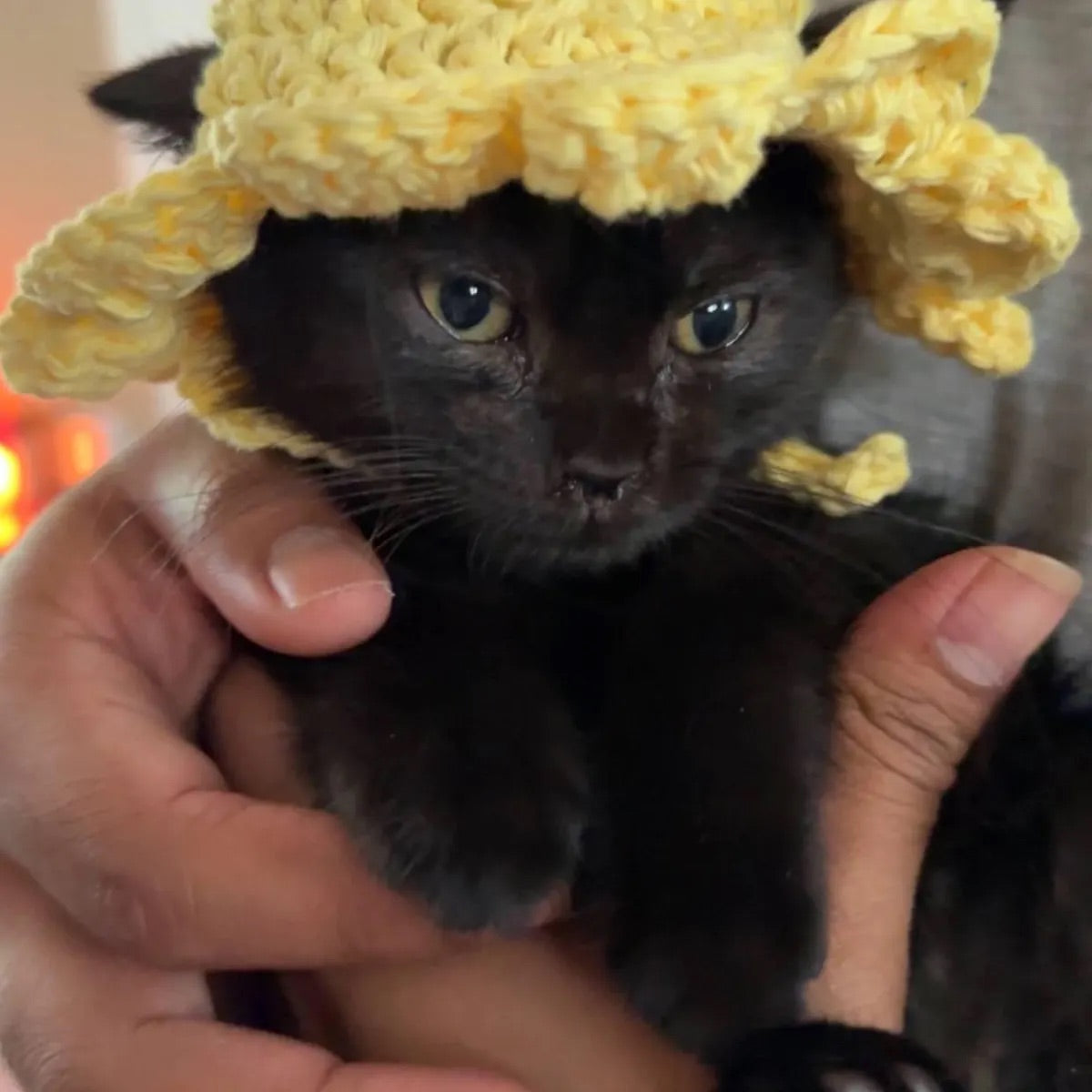 Cute Crochet Cat hat