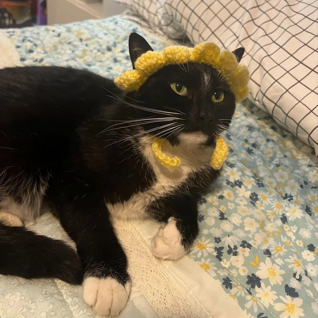 Cute Crochet Cat hat
