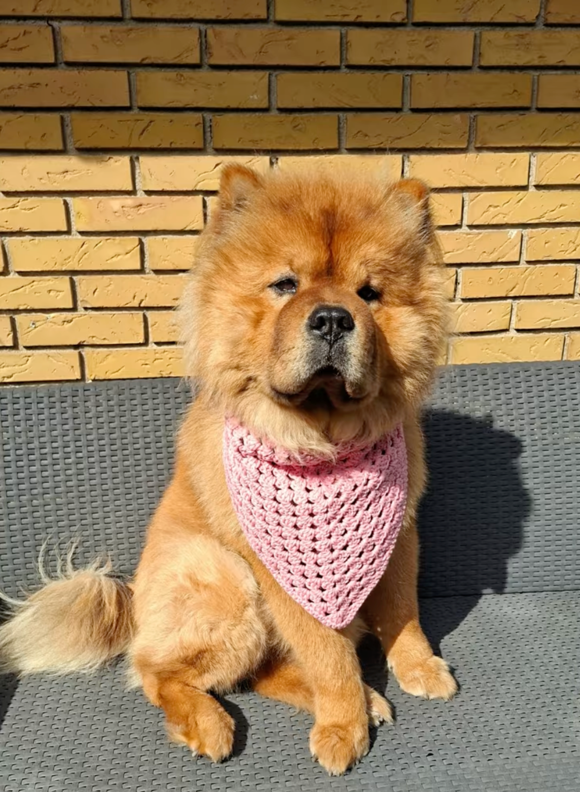 Cute Pink Dog Bandana