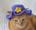 Cute Purple Cat Hat