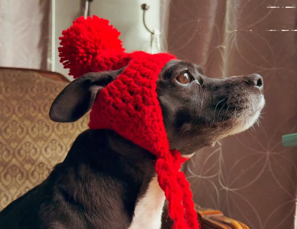 Crochet Dog Ear Flaps