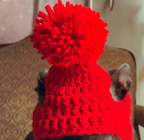 Crochet Dog Ear Flaps