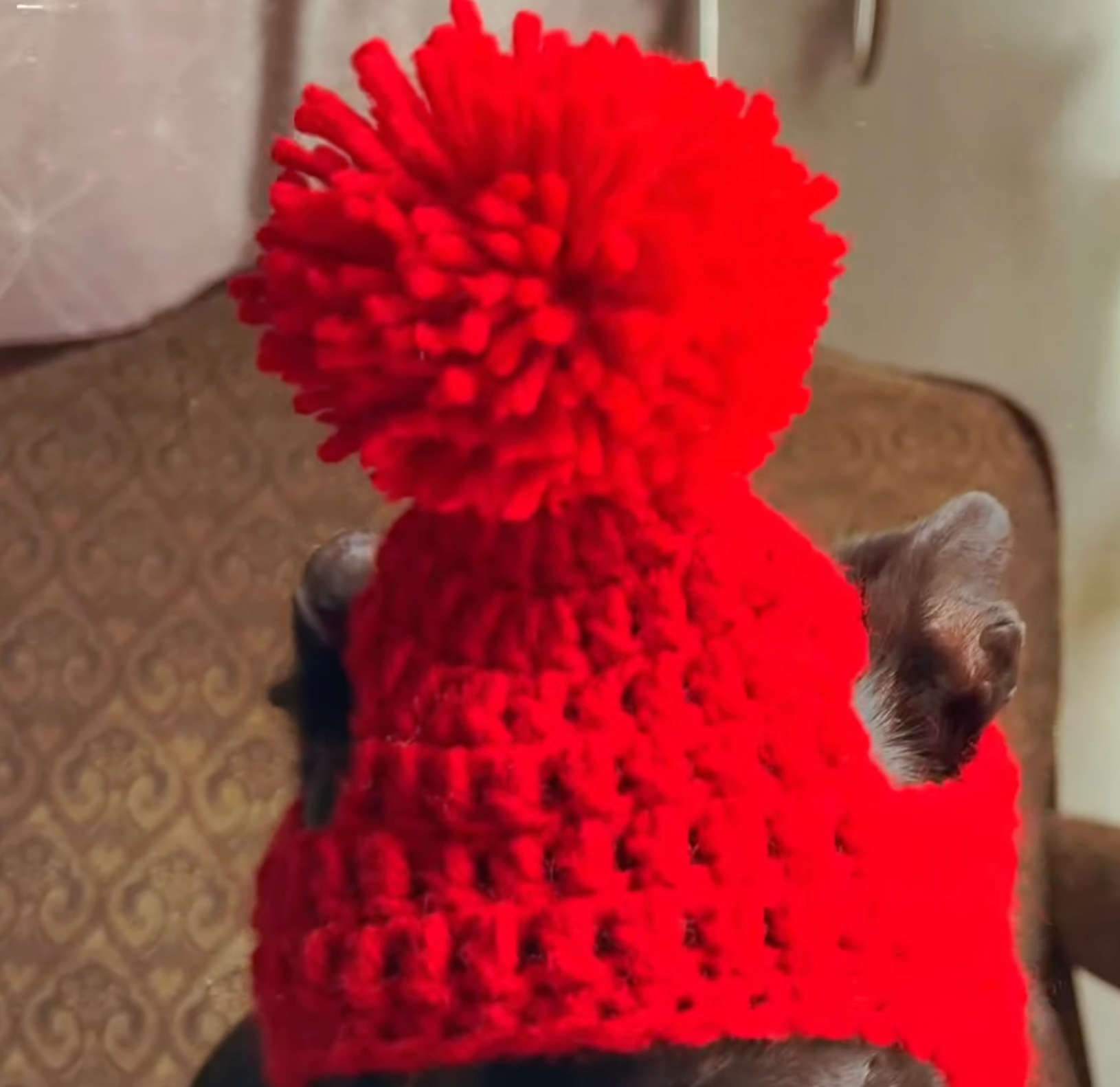 Crochet Dog Ear Flaps