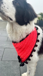 Crochet Dog Bandana