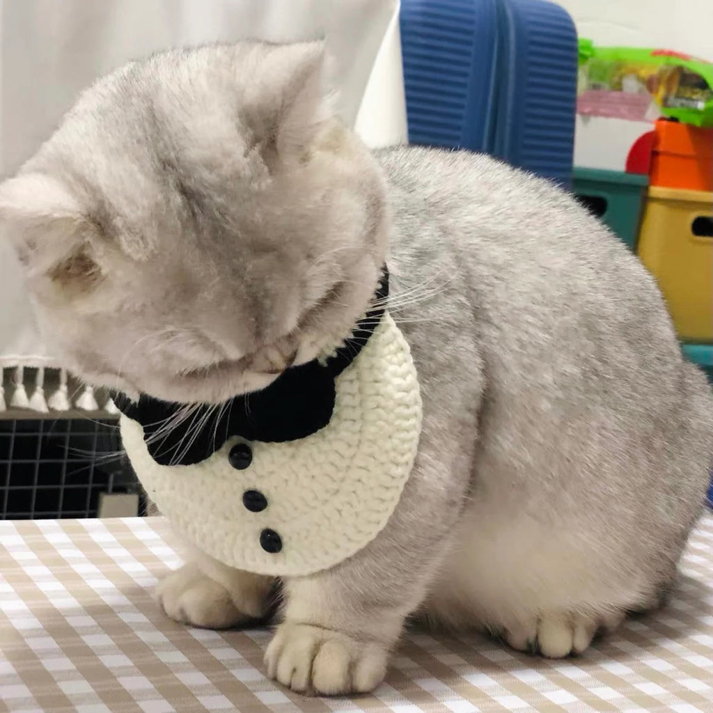 Cute Dog Formal Collar